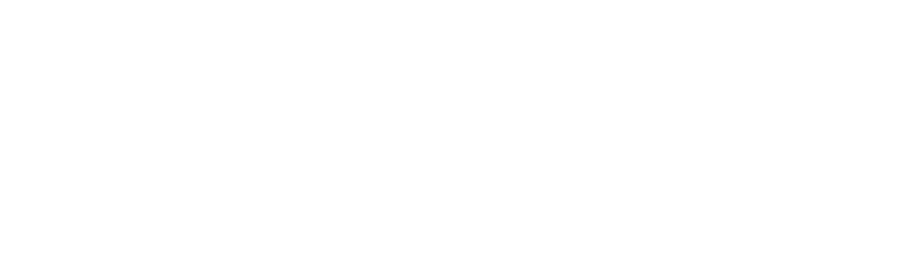 BaoTijara Logo